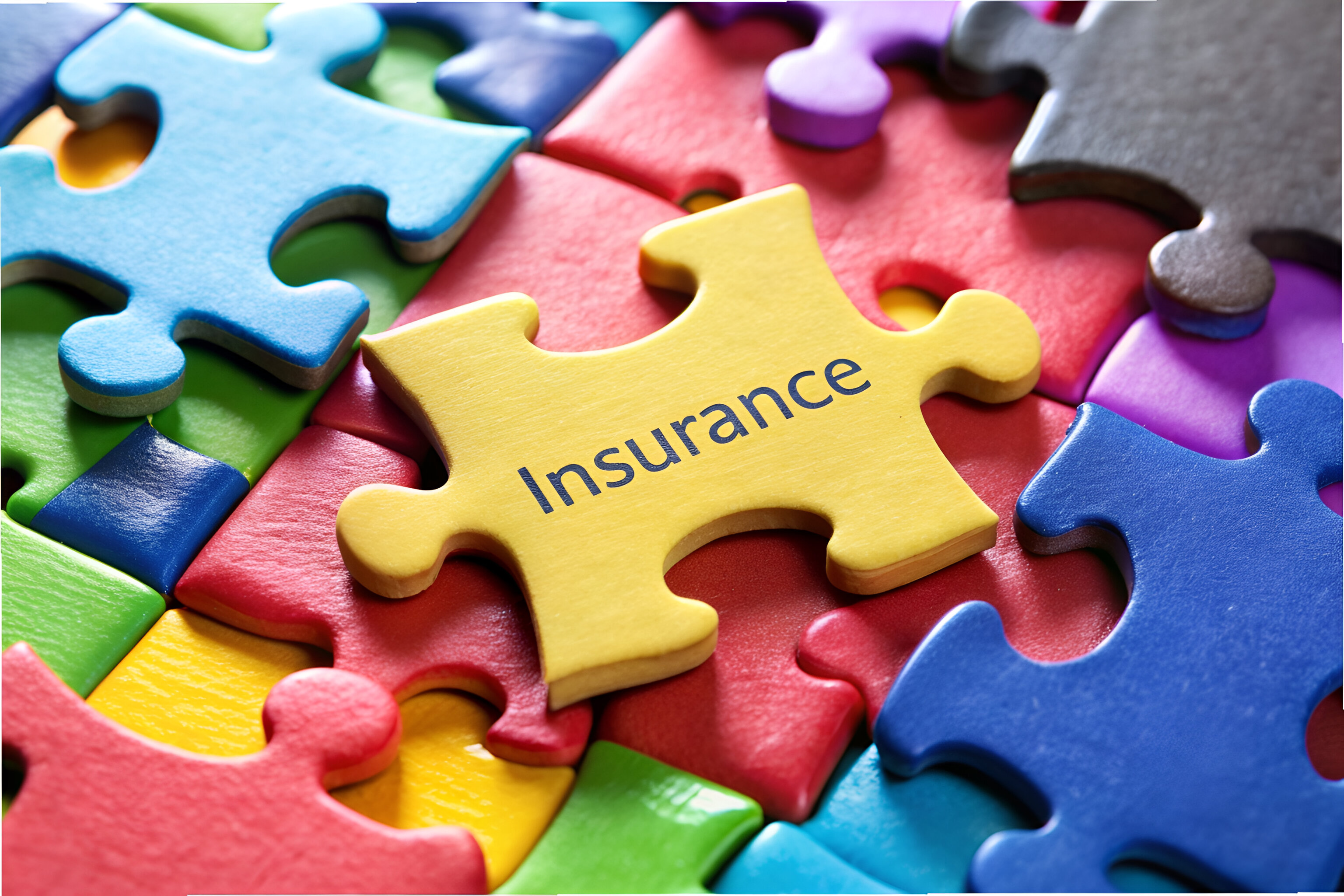 Header Image - Kate Slade Puzzle Insurance 